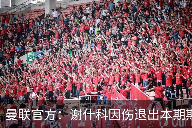 曼联官方：谢什科因伤退出本期斯洛文尼亚队大名单
